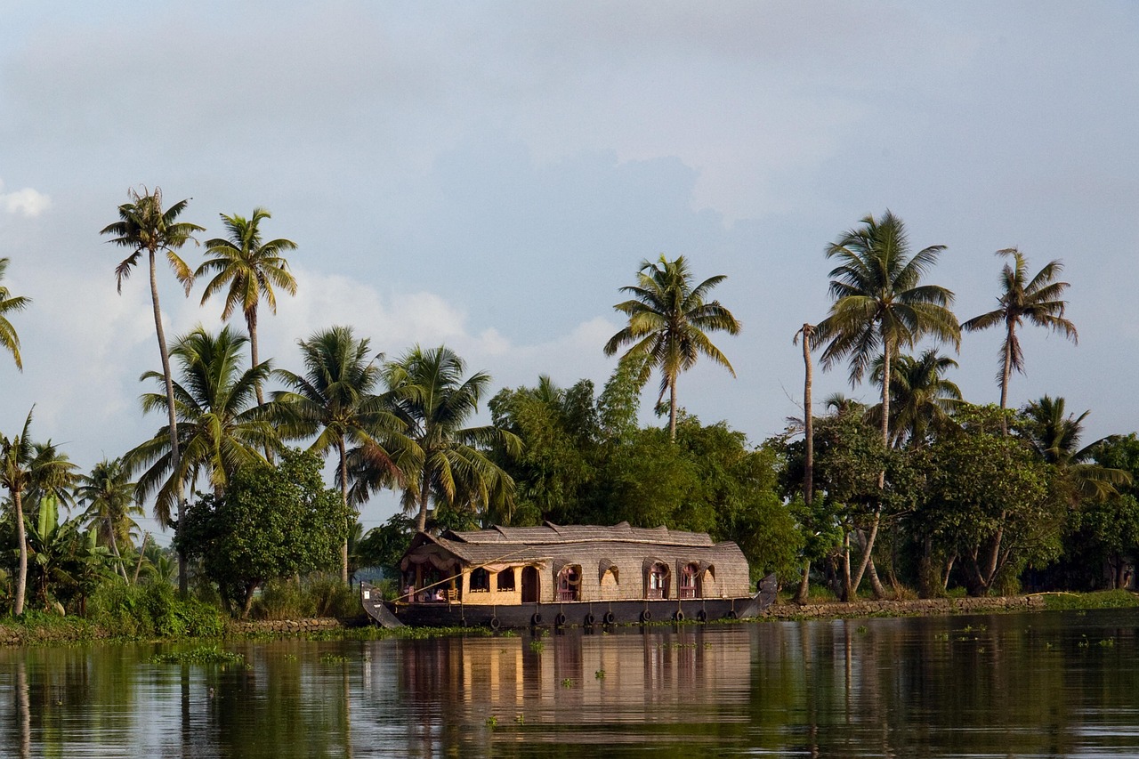 Kerala Backwaters Tour - Houseboat Experience